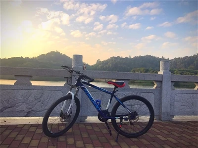 Tin tức về chuyến đi cuối tuần